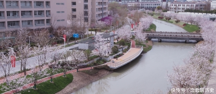 教育学|教育学最好的10所大学，毕业轻松当老师，就业稳，考上很有面子