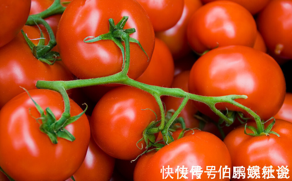 多汁|买西红柿不会挑?菜农教你5个方法,轻松挑到沙甜多汁的西红柿