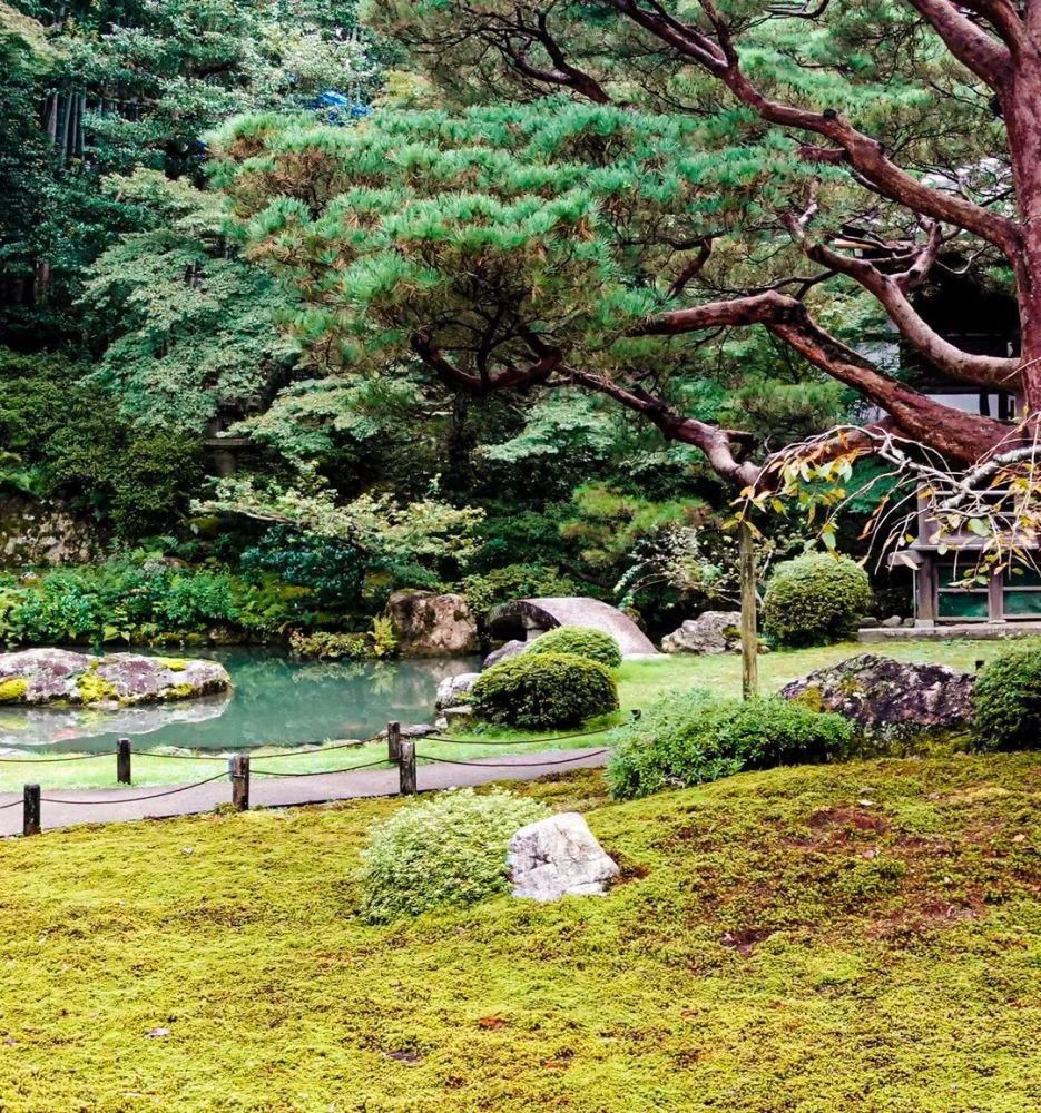  缪斯|青莲院：皇室贵族的修行圣地，文人画家的灵感缪斯