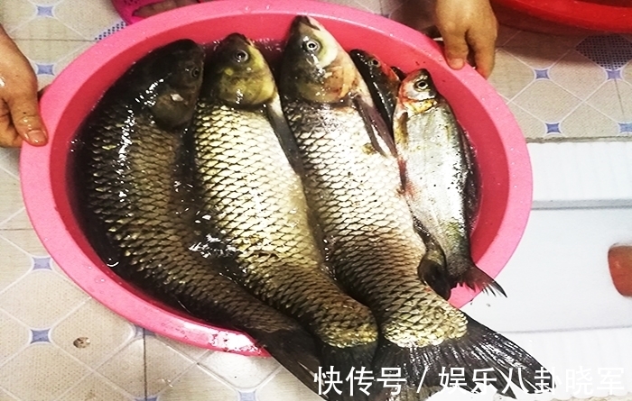 钓友|每次钓鱼都用这个方法,从来没有“空军”过,屡试不爽