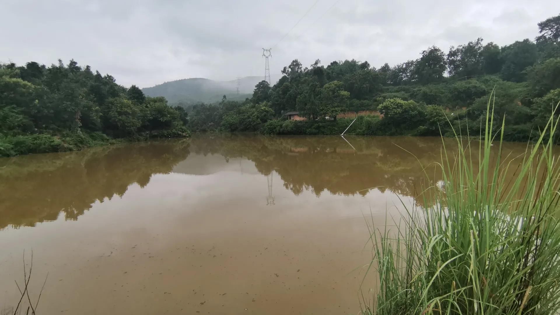 昆明|楚雄大新坝水库探钓，钓法饵料无限制，仅收50一天还能钓鲢鳙