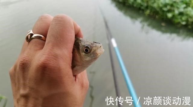 天冷钓鲫鱼,线组要用多细才有口?很多人其实都搞错了!