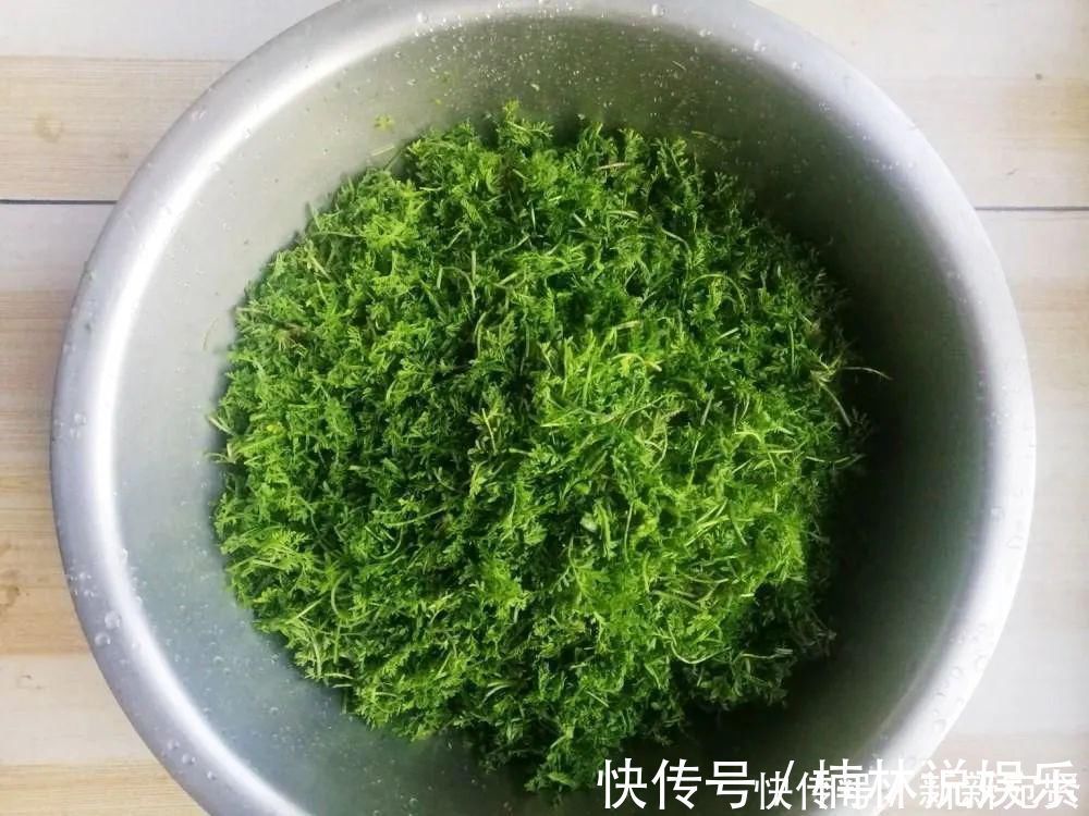 小麦|长得像艾草,古时是救命野菜,如今成麦田恶草,但见到请别错过