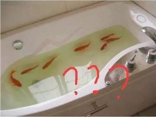 安装|找熟人装修害死我了，20条教训只能自己扛着，后悔呀