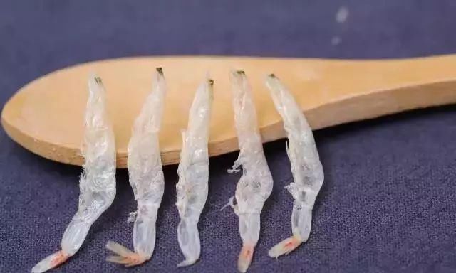 虾皮你还在吃吗我也是今天刚知道的,抓紧提醒家里人还不迟