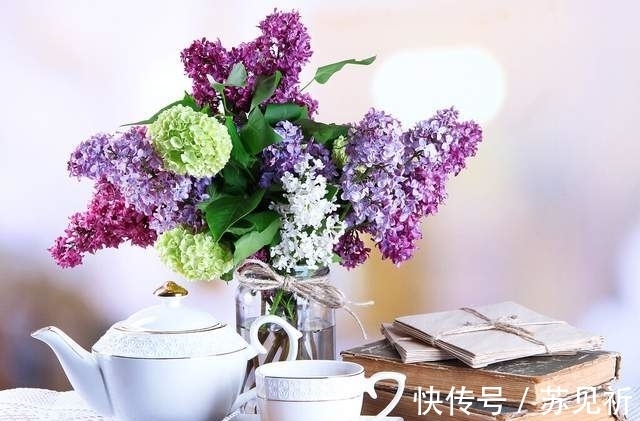 茗香#散文,阳光落在掌心,书卷且伴香茗