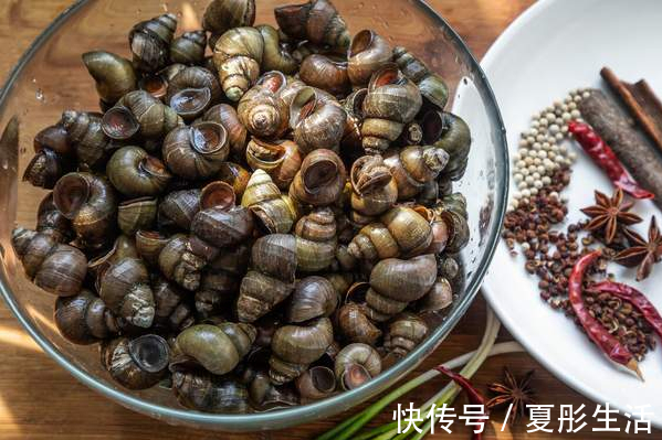 郫县豆瓣酱|夏季田螺正当时，洗田螺别只会放盐，多加2味料，吐沙快速又彻底