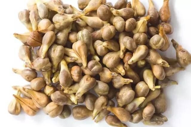  好吃|提子好吃皮难剥，别急，一个妙招轻松搞定~