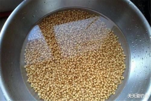 春季正是出大鲫鱼的时候,分享几款自制窝料的制作方法,次次大鲫大鲤