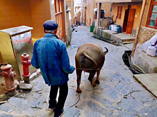 名气|游箐口梯田和哈尼族民俗村,品哈尼族美食,发现村民建房竟然可以不花钱