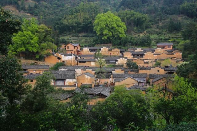 上下五千年|浙南藏了一座300年的古村，有金色布达拉宫之称，环境非常原生态