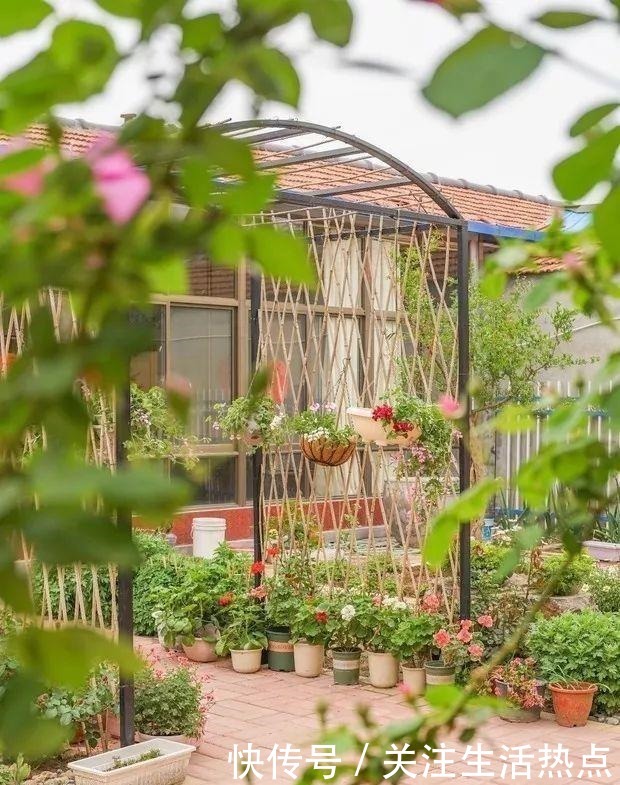 旧农舍改造成花园，一年四季花开不断，邻居看了羡慕的不得了！