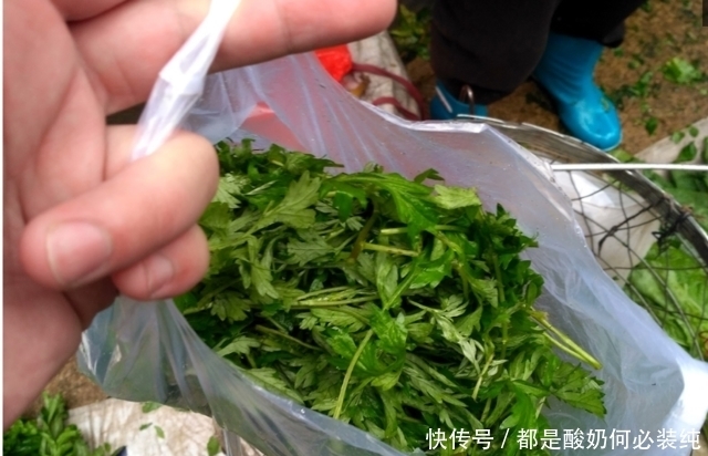 集市有种野菜价格贵过猪肉，农村大姐一上午摘100斤不愁卖