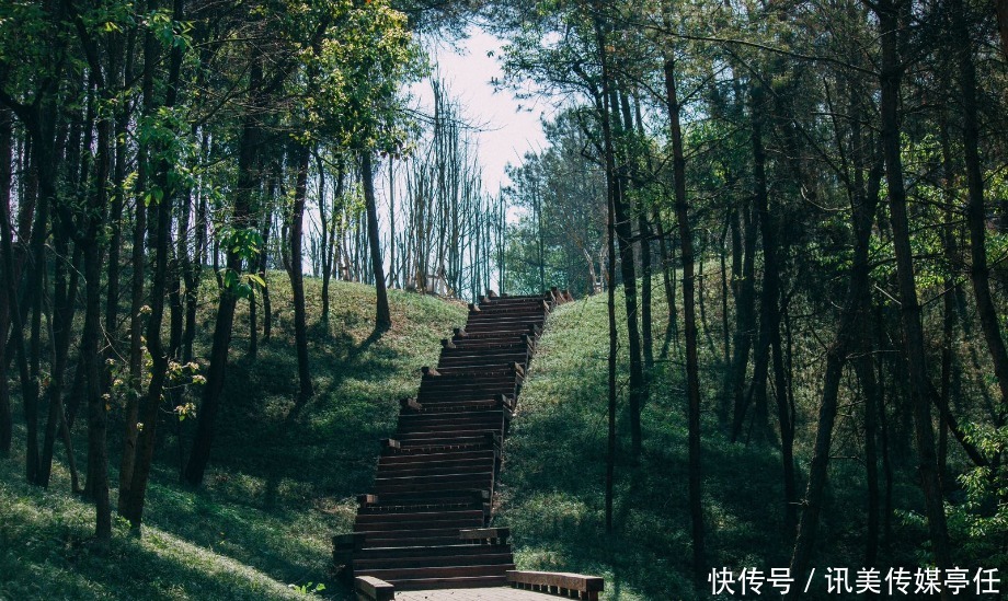 春暖花开，我在双流遇见你