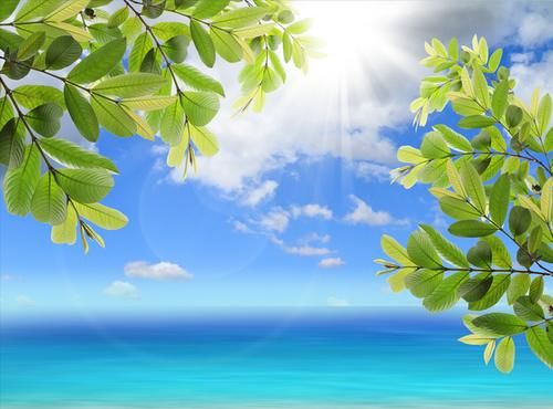 夏天|高血压患者夏天血压下降，要停药吗？看心血管专家怎么说