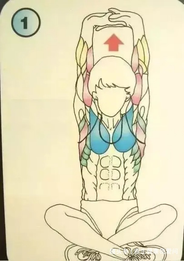 拉筋|一个最全养生拉筋动作,每天只需十分钟,筋长一寸寿延十年!