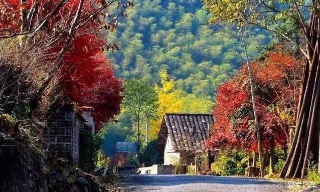 装备|宁国赏梅圣地自驾游