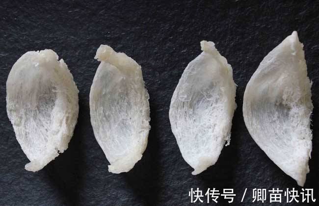 燕窝|女性进入孕期后常吃4种食物,能增强抵抗力,有利孩子大脑发育