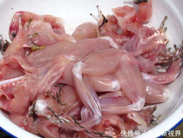 寄生虫|孕妇要拒绝的5种肉类，寄生虫感染最厉害，再嘴馋也要拒绝