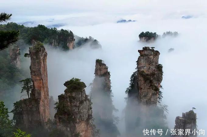 精简实用版张家界旅游攻略及费用（湖南五钻国际旅行社制作）