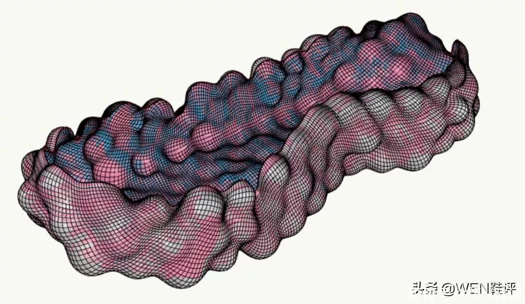 潮鞋 尼克杨都忍不住亲自上脚的国产潮鞋!态极云会掀起新的风暴吗