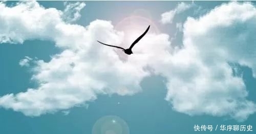  陈伟红|签约作家陈伟红随笔/落雨的早晨