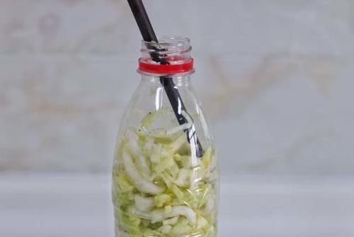 酸菜|想吃东北酸菜,现在腌制也不晚,教你简单做法,想失败也不容易
