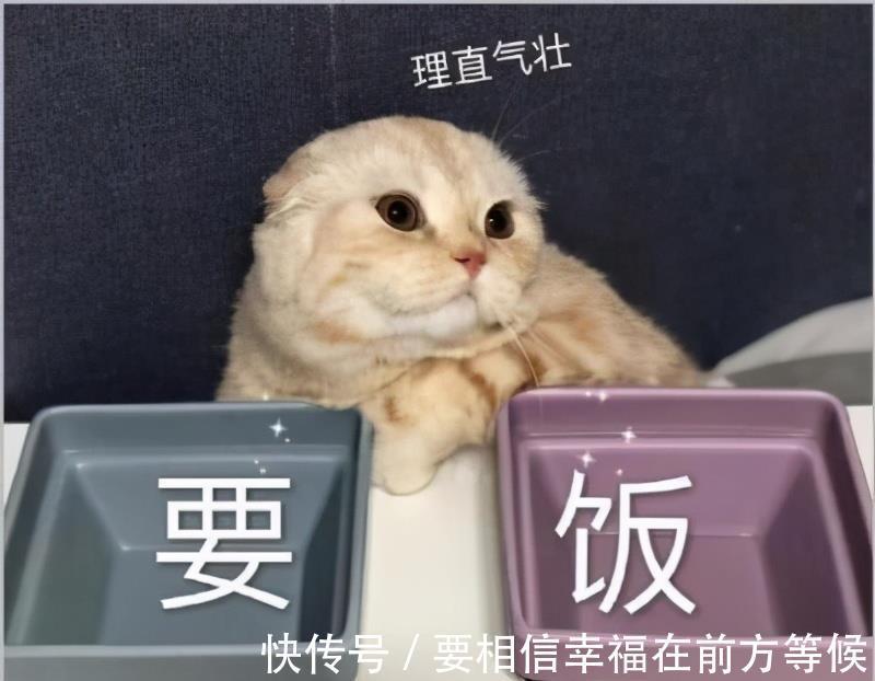 大学|大学生花式要生活费走红,父母十感然拒,网友:你妈还要干儿子吗