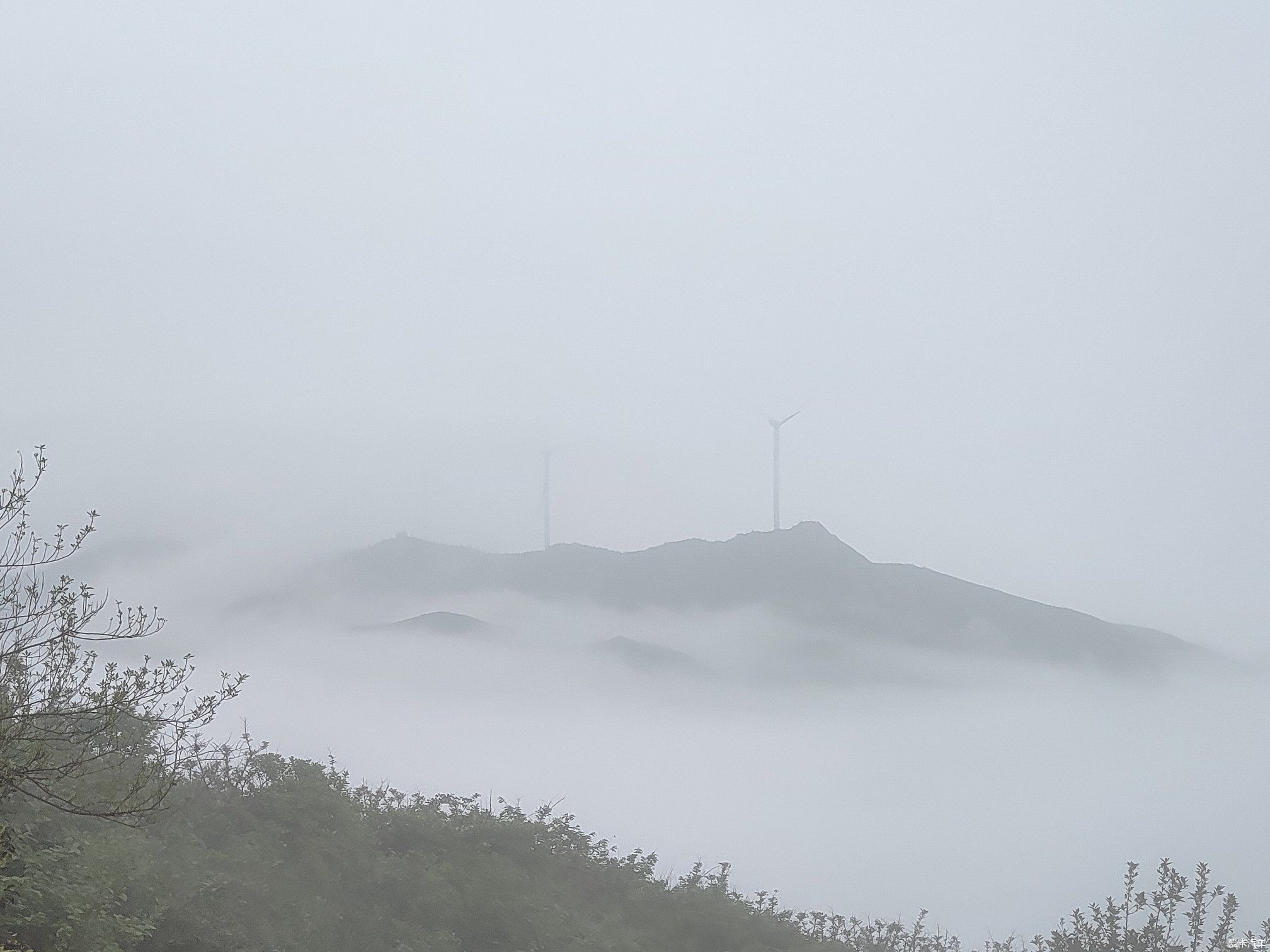 忙里再偷闲 升华山上看杜鹃