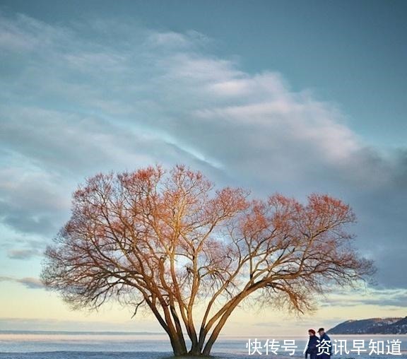 收藏|为人处世的智慧语录,句句受用,值得收藏一生!