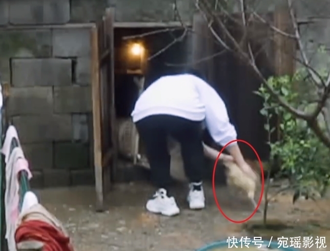 新嘉宾 蘑菇屋陈赫李诞还在,新嘉宾就砸场子超勤快,何炅都忍不住内涵