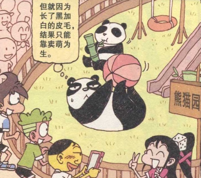 秃鹰|星太奇:和大棕熊合影,闭眼睛猜动物环节!奋豆想起了古老师