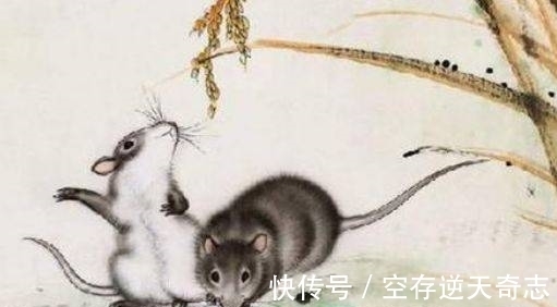 人际交往|2021年底之前,诸事大吉,中百万大奖,注定难逃富贵的属相