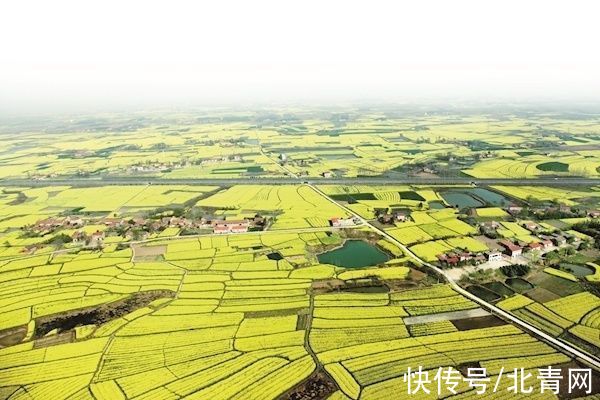 京山|道源寿乡 富美荆门：花海、烟村与一座运动休闲之城