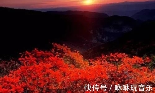 青天河景区|青天河｜金秋时节，来这座“红叶王国”感受那“枫”情万种的美！