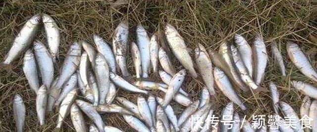 野钓实战探讨,短子线和长子线之间,哪一种优势更大