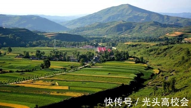 中药材|使用中药材,我们应该注意什么?