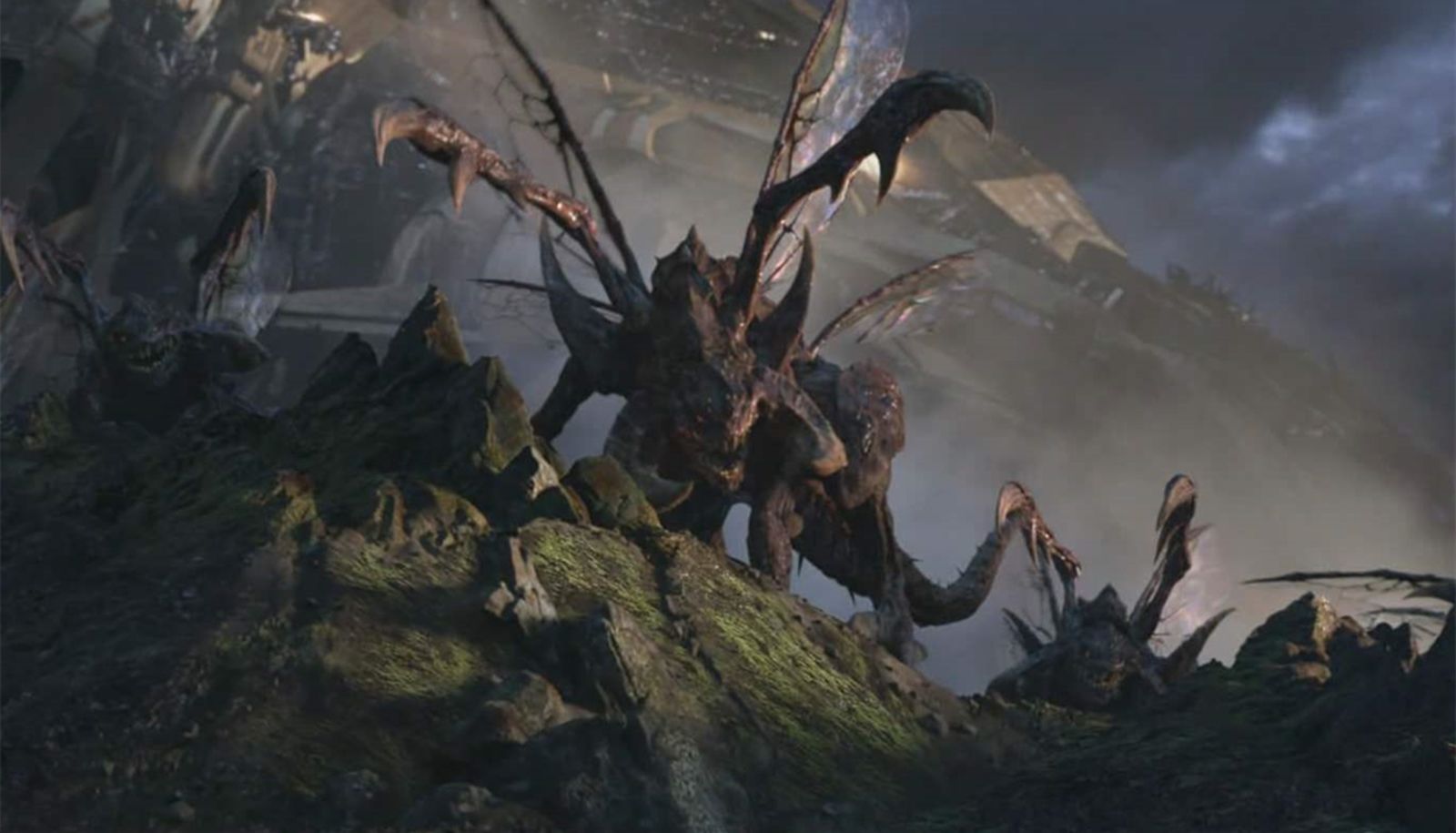 人族|虫族的跳虫有多悲催?人族枪兵开几枪就死了,连炮灰都算不上