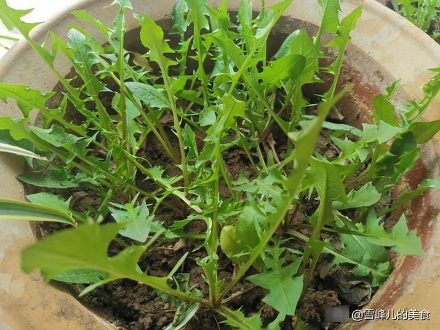 70后夫妻早餐，30分钟就上桌朋友圈火了，朋友：有这样媳妇真幸福