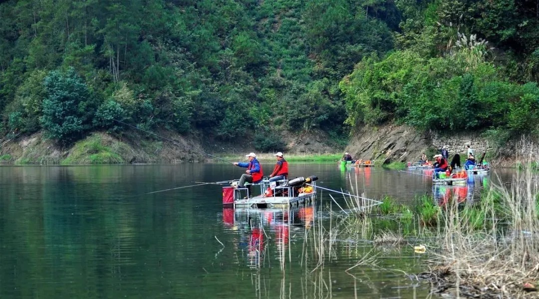 垂钓|冷天钓鲫鱼,只要掌握好这些因素,垂钓鱼获更多,鲫鱼个体更大