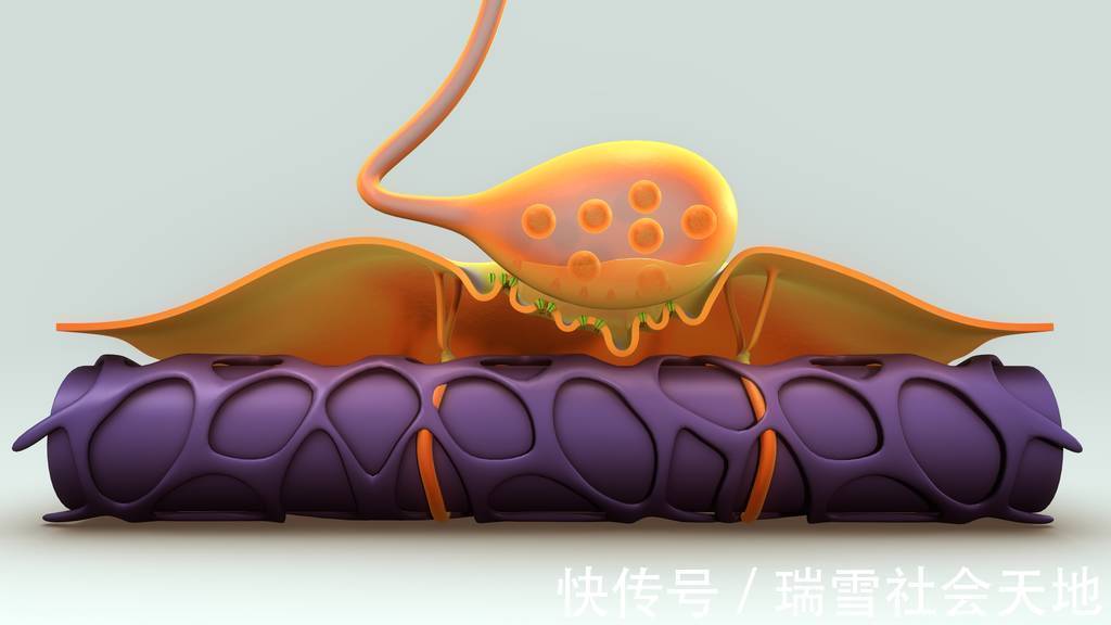 复发|脱髓鞘易复发怎么办?如何改善症状?