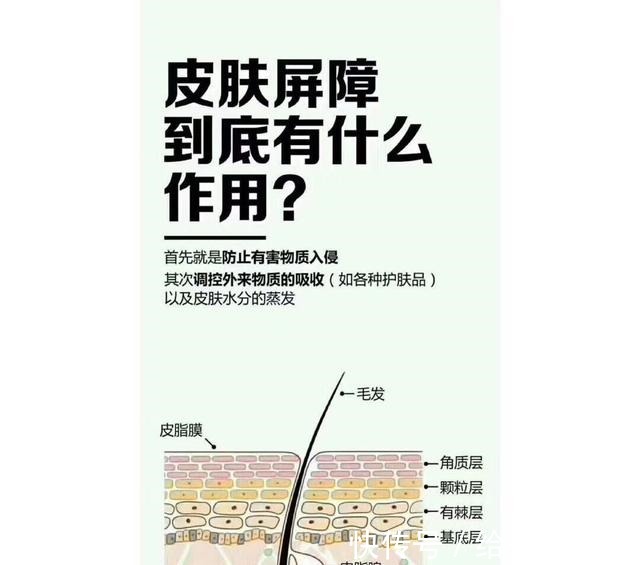 控油 换季如何护肤4种皮肤类型思路大不同,麻烦“对号入座”!