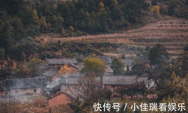 乡村路|“中国最美乡村路”又添一景，距4000年银杏仅3公里