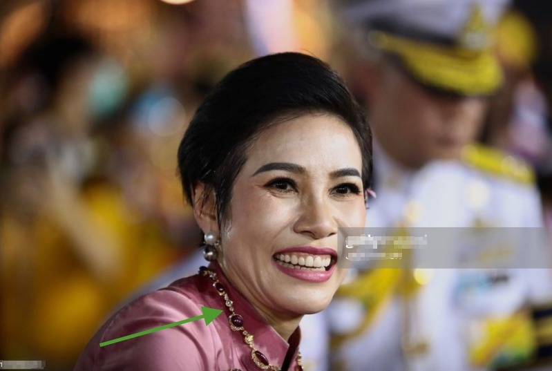 育坤|诗妮娜找到新靠山,佩戴原配红宝石项链炫耀,成功融入育坤家族