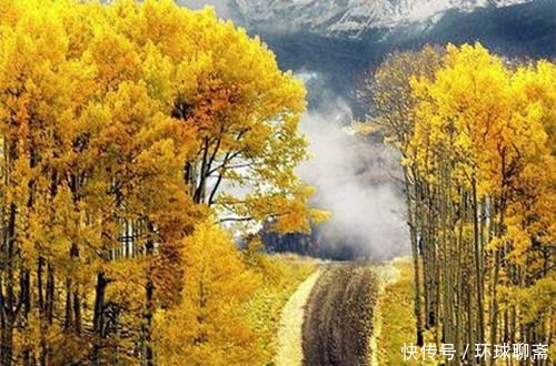 古典君|断鸿渺渺空银海,疏雨潇潇满玉楼;八首七律诗,已是天凉好个秋