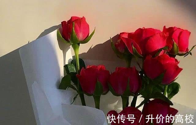 水瓶座|自我意识强,但也善于变通的星座,懂得随机应变,该低头就低头