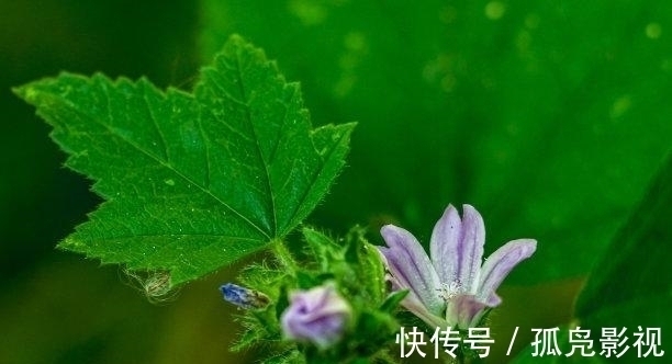 惬意|一周以后，刮财风，日子惬意，旧情回眸，交出真心，前途似锦