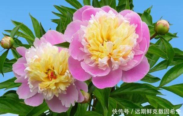 钱财|俗话说人是贫是富,其实早有定数,具备4个特质,钱财花不完