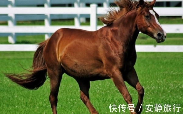 生意|苦尽甘来，大器晚成的生肖，年过中旬扭转乾坤，生意兴隆