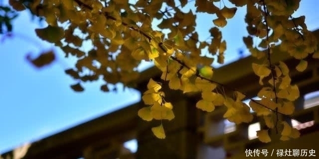 诗鬼|“诗鬼”李贺的一首被钱钟书称为“眉疏目爽之作”的《开愁歌》